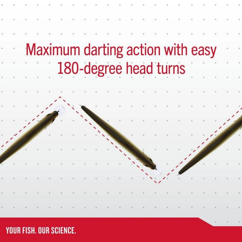 Berkley DEX Stunna 11cm – Bild 2