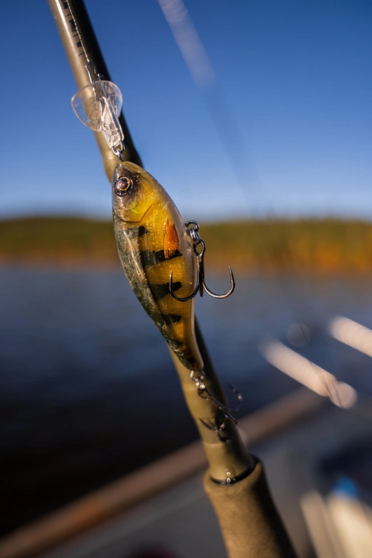 Headbanger Cranky Shad – Bild 2