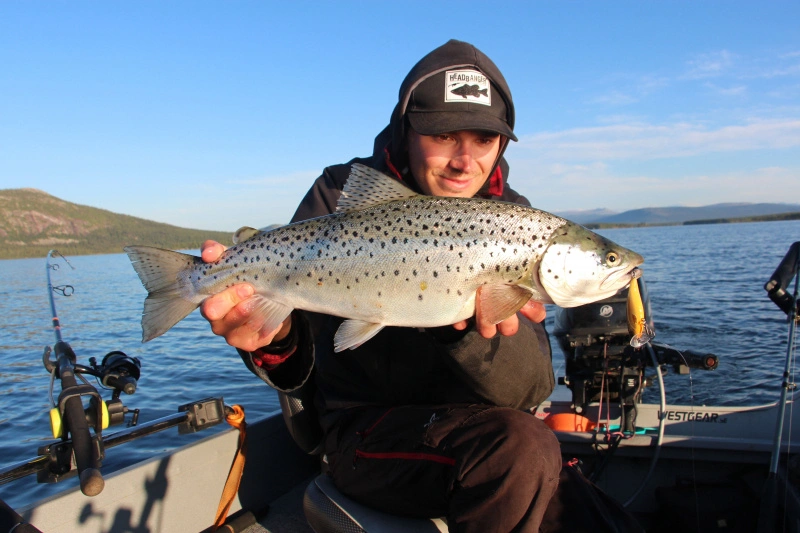 Headbanger Cranky Shad – Bild 3