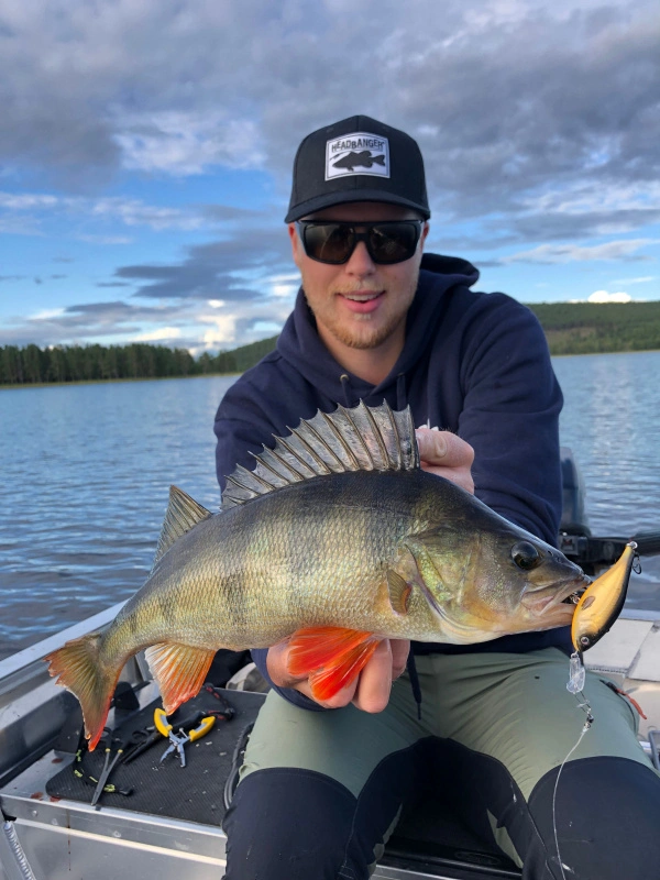 Headbanger Cranky Shad – Bild 6