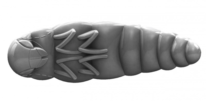 Libra Lures Largo 35 Cheese (10pcs) – Bild 4