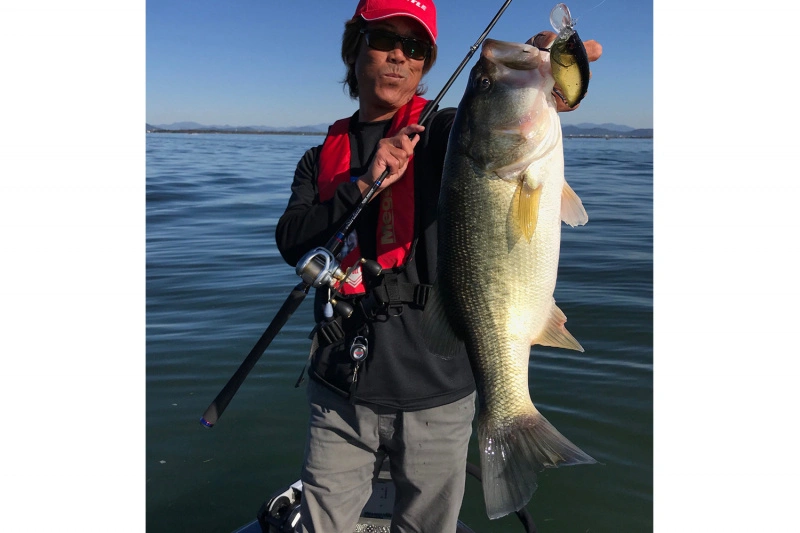 Megabass Big-M 2.0 – Bild 2