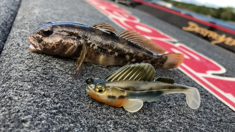 Megabass Dark Sleeper – Bild 2